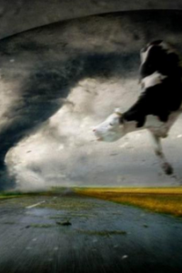 Twister